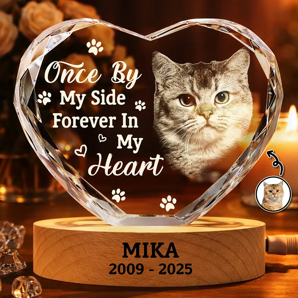 Custom Photo Once By My Side Forever In My Heart Memorial Dog Cat - Personalized Crystal Heart Shaped Lamp