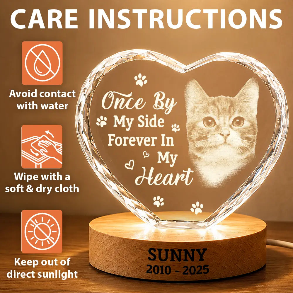 Custom Photo Once By My Side Forever In My Heart Memorial Dog Cat - Personalized Crystal Heart Shaped Lamp