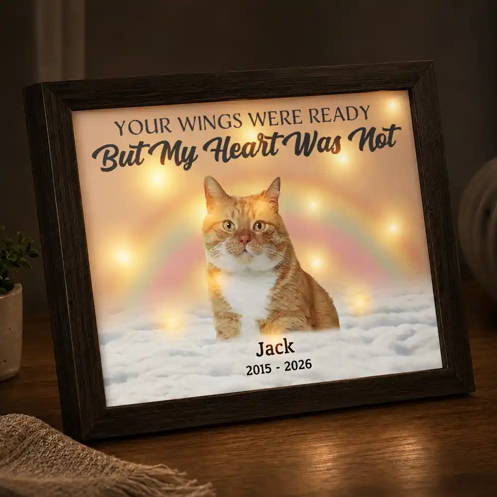 Custom Photo Memorial Pet Forever In My Heart - Personalized LED Light Shadow Box