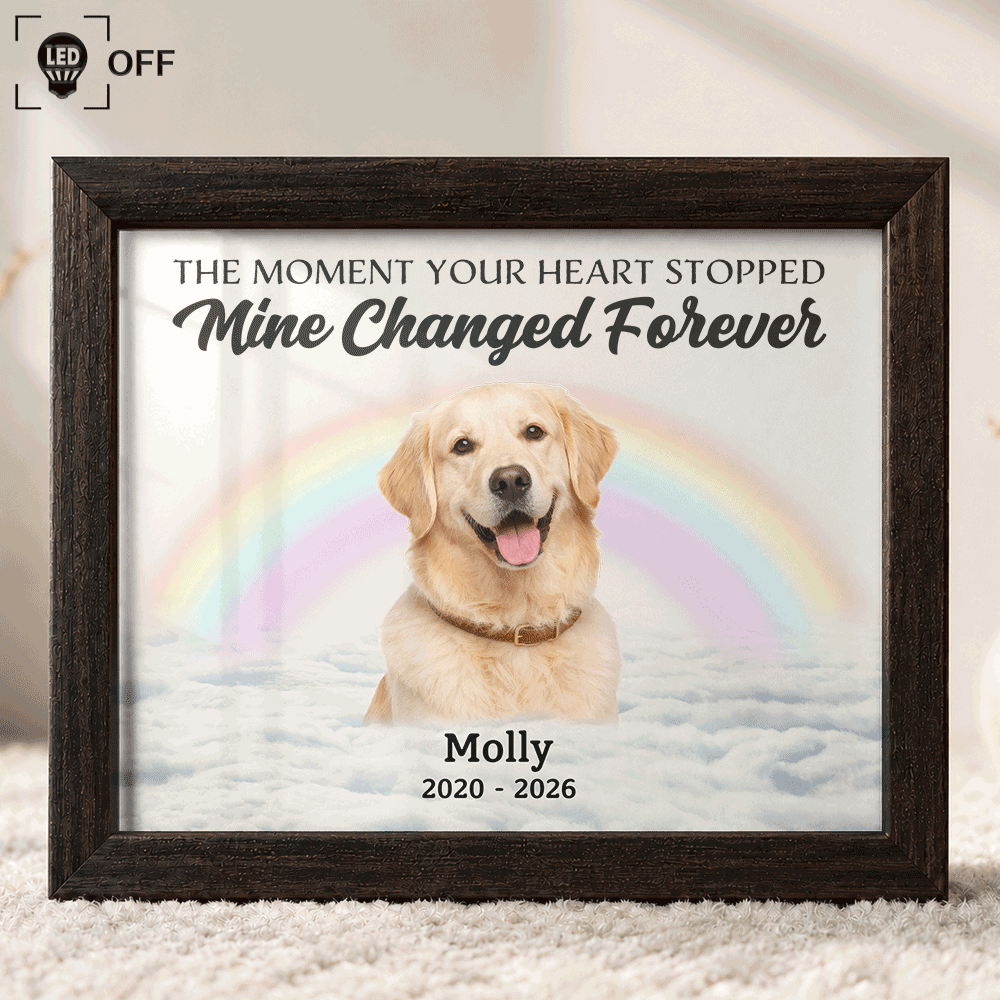Custom Photo Memorial Pet Forever In My Heart - Personalized LED Light Shadow Box