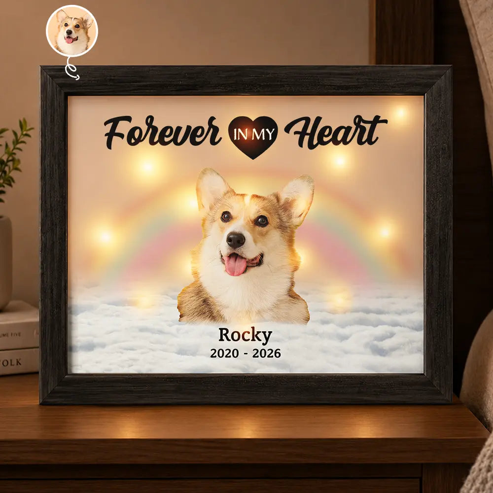 Custom Photo Memorial Pet Forever In My Heart - Personalized LED Light Shadow Box