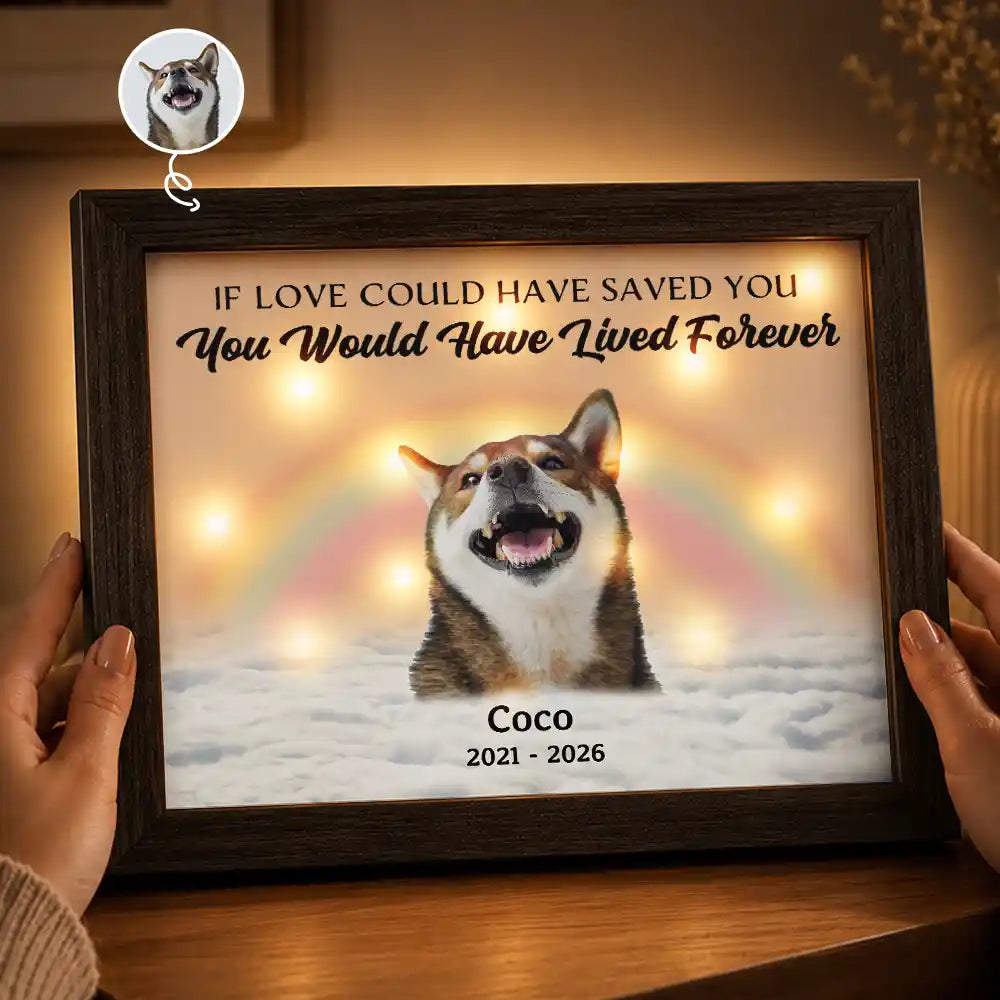 Custom Photo Memorial Pet Forever In My Heart - Personalized LED Light Shadow Box